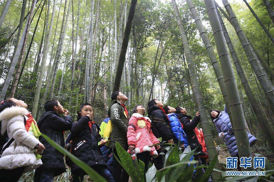 重庆北碚：“森林课堂”约会大自然