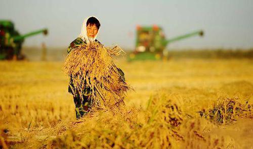农业农村经济形势总体向好