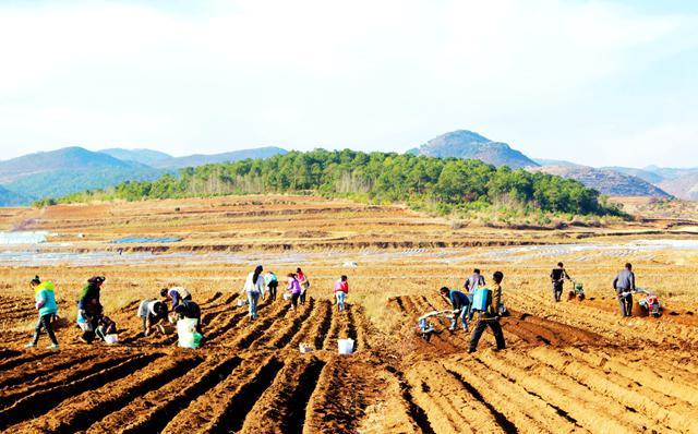 播种在希望的田野——全国春耕生产综述
