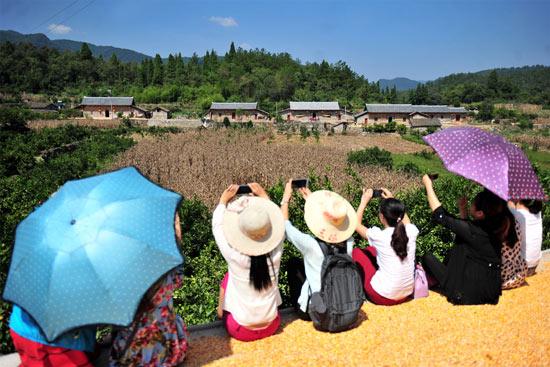 金羊网评：乡村旅游人气旺，让全面推进乡村振兴底气更足