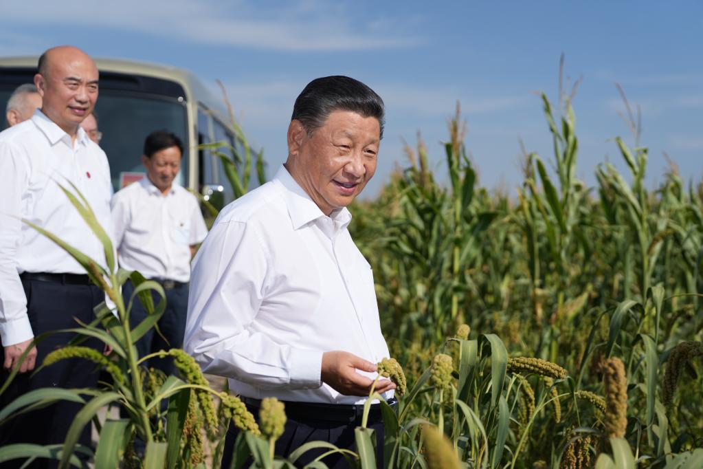 察夏粮、看秋粮，总书记今年考察中为何两次实地察看粮食长势