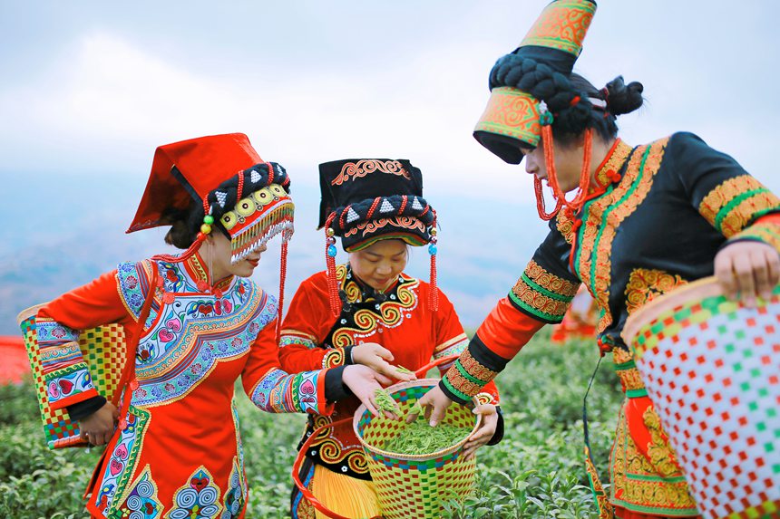 2021年中国农民丰收节贵州主会场活动将在七星关区举行