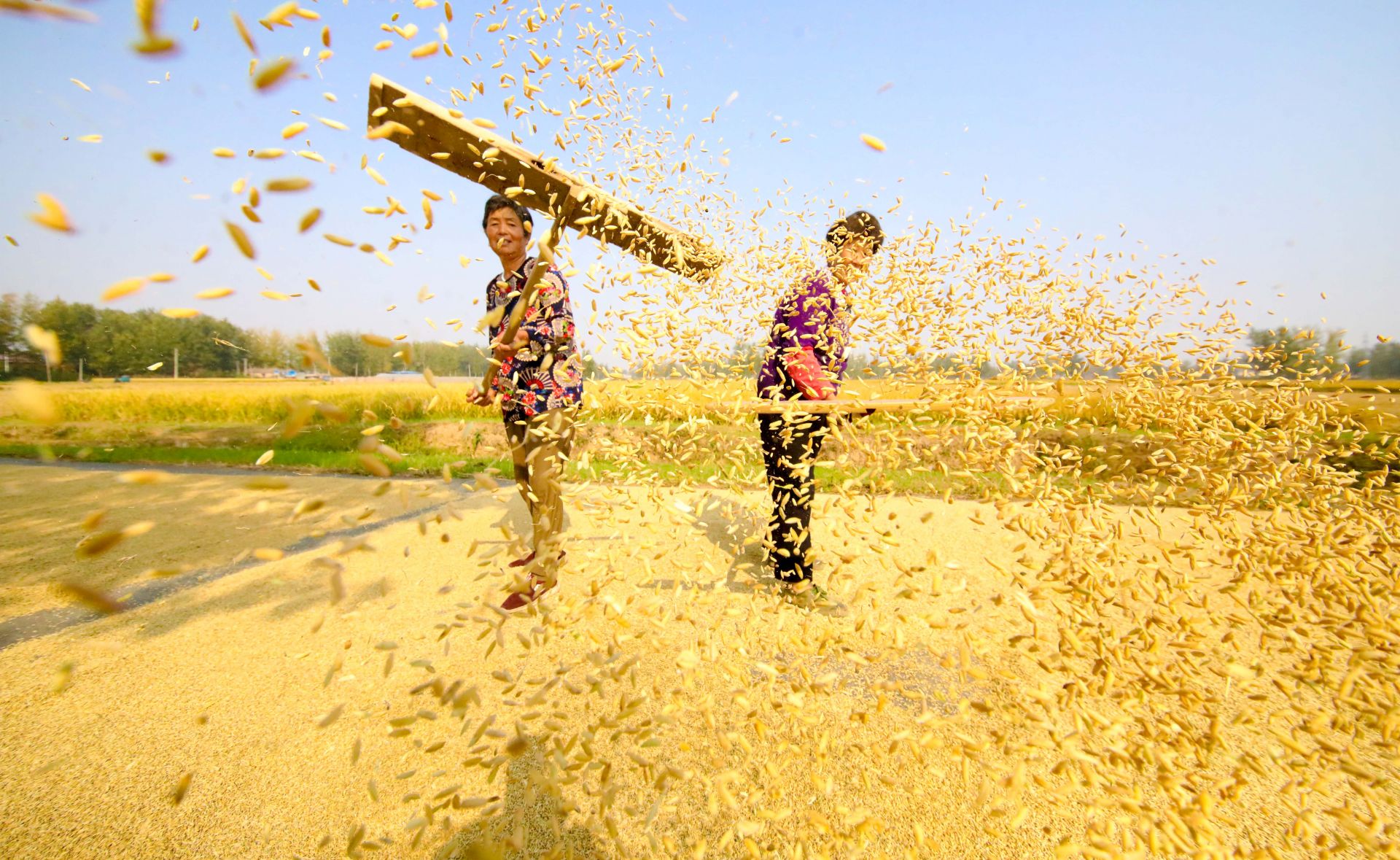 谱写农业农村改革发展新的华彩乐章