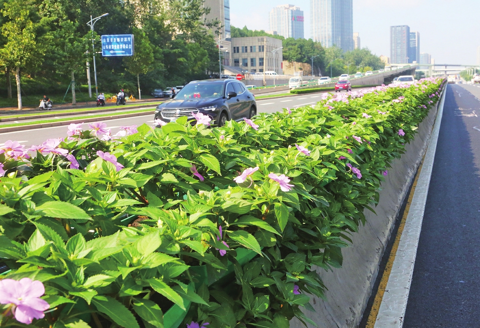 山东燕山立交桥披“彩带”迎国庆