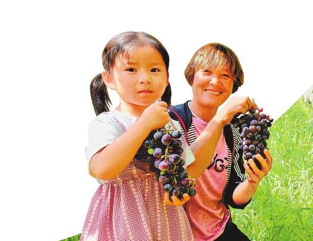 “大粮仓”对接“大市场” 豫沪农业合作亮点多