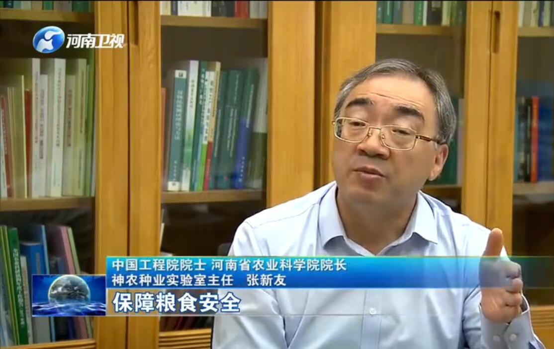 只有种业安全才能确保粮食安全