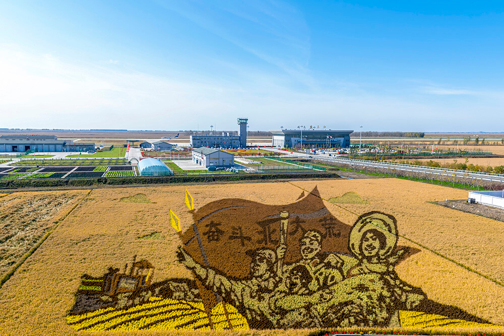 农业农村现代化阔步前行 ——习近平总书记领航农业农村高质量发展(之三)