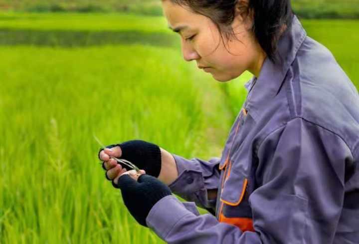 既“富口袋”又“富脑袋” 建德钦堂乡培育特色文化品牌