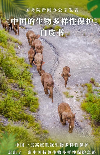 走出一条中国特色生物多样性保护之路