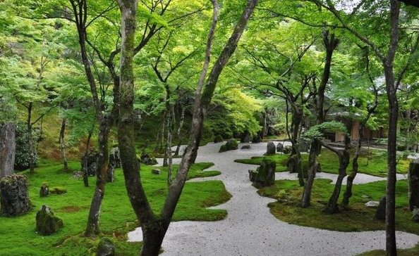 建设生态园林城市合肥再次发力
