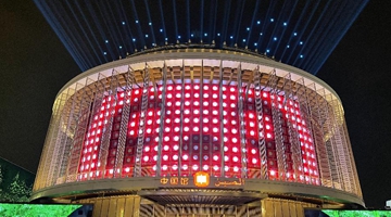 迪拜世博会开幕10天接待量逾41万人次