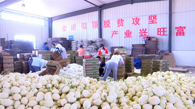 瓜州县:美化乡村颜值 提升村民气质