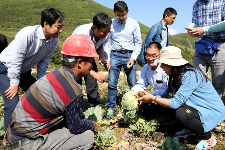 陕西杨凌:执着田畴 打造知名农业硅谷