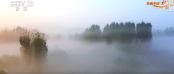 枣庄平流雾层漫乡间 如云似海若仙境