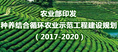 安徽17县试点绿色种养循环农业