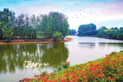 60年传承与发展，广东水稻产业迈向高质量之路