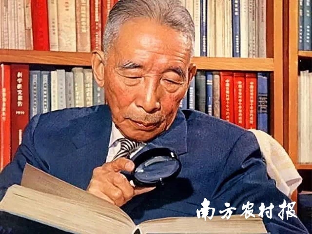 “中国稻作学之父”丁颖。