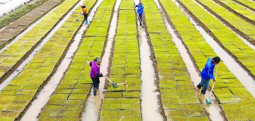 901个乡镇每个年均2000万怎么监管