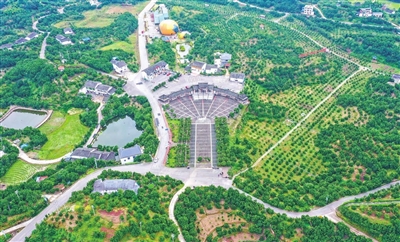 梁平：深秋里的一抹“柚”惑