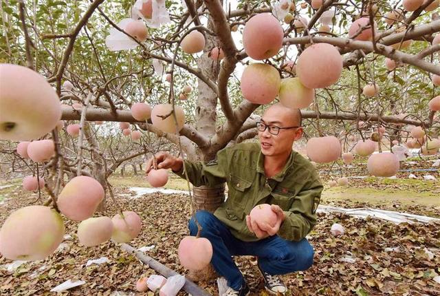 河南孟津送庄镇：引导“能人”回乡投资兴业，带领村民奔小康