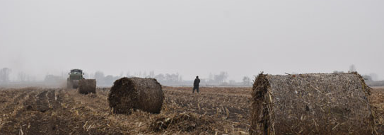 秋收落幕 秸杆离田进工厂“一条龙”