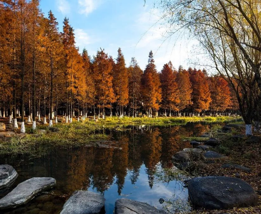 森园路建设工程一举两得 美了一条新路绿了一条旧渠