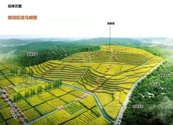 无锡滨湖:“鱼米之乡”新唱“太湖美” 美丽田园“踏歌来”