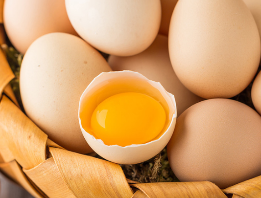 鸡蛋价格淡季不淡 今年最后两个月蛋价仍将高位运行