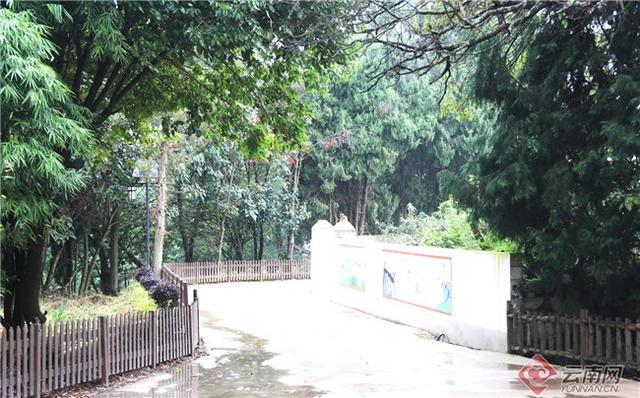 曲靖马龙马鸣乡：乡村振兴迈出新步伐