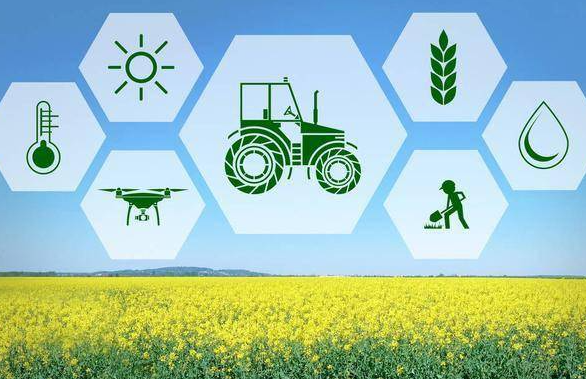 双江口镇—— 田管智慧化 增收乐农家