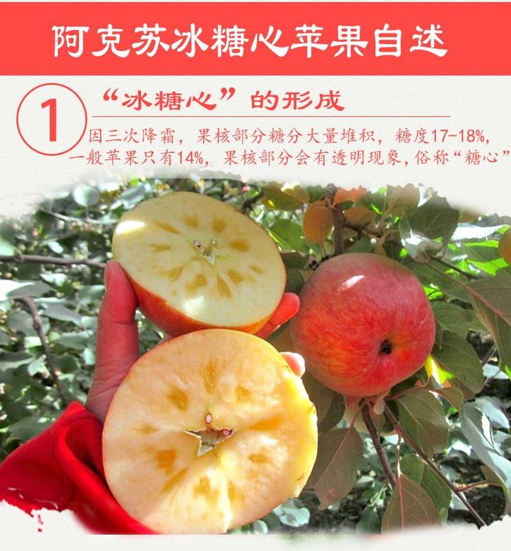 新疆阿克苏48.9万亩“冰糖心”喜获丰收 总产量达87.18万吨