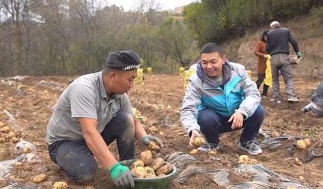 甘肃东乡巩固拓展脱贫攻坚成果同乡村振兴有效衔接观察