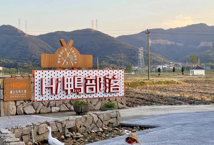 杭州“链动”资源 打开乡村产业发展新空间