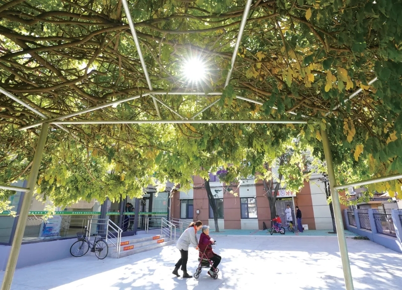 老了,何以为“家”