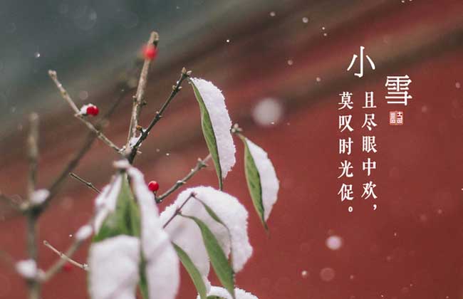 22日10时34分“小雪”：晚来天欲雪，能饮一杯无？