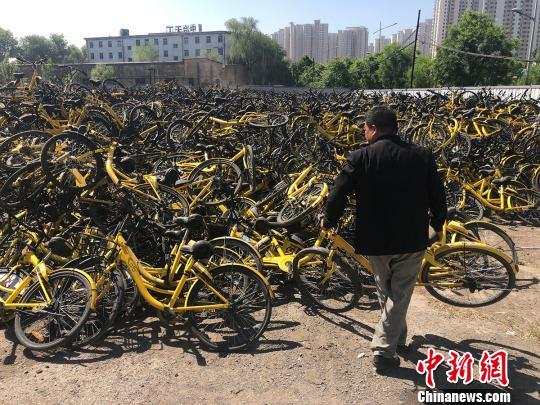 工作人员将回收的共享单车集中摆放在一起。 韦亮 摄 工作人员将回收的共享单车集中摆放在一起。 韦亮 摄