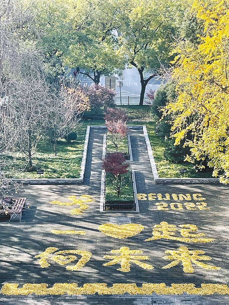 北京冬奥会精神!西安城墙网红银杏叶景观换新造型了