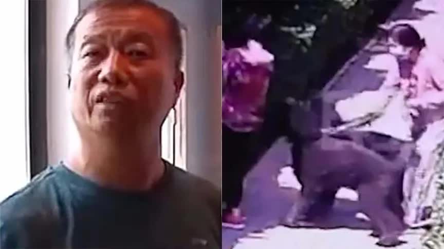 “狗咬人”事件当事人被撤职 多名干部被问责