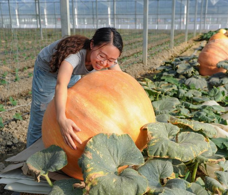 山西农大实施国家“智慧农业发展与数字乡村建设”高级研修项目
