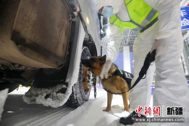 图为民警带犬进行车辆查缉。