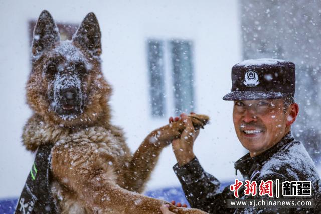 图为民警组织开展警犬训练。