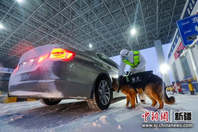 图为民警带犬进行车辆查缉。