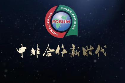 国务院新闻办发表《新时代的中非合作》白皮书