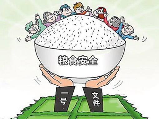牢牢把住粮食安全主动权