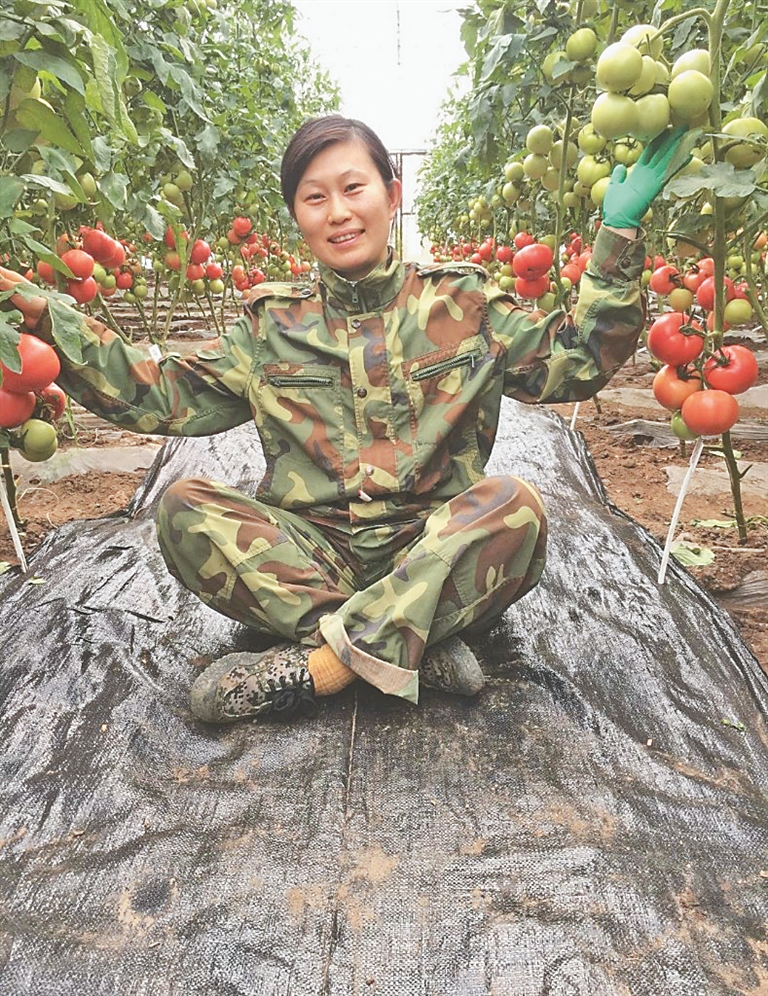 农业专家“上门”传授致富经 棚室蔬菜园里满眼春