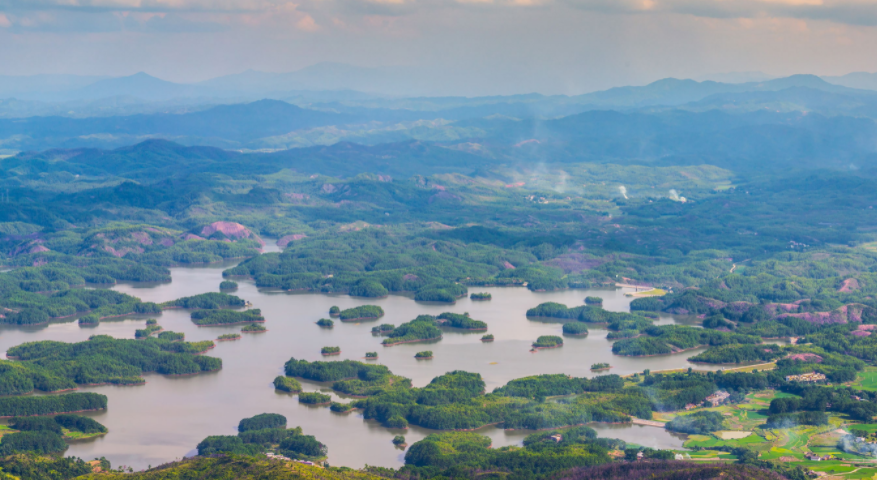 广东公益林效益补偿标准连续14年增长 今年标准提至平均每亩42元