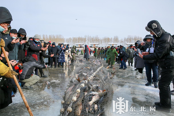 观鹤、冬捕、泡汤…… 解锁“鹤舞雪原”冰雪旅游线路的N种玩法