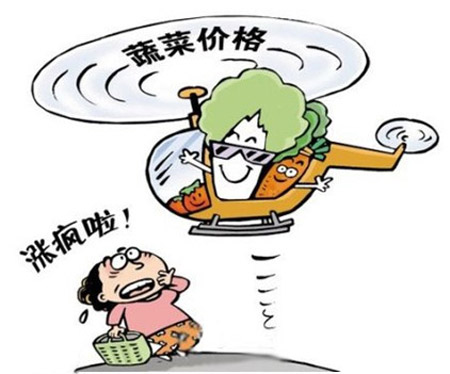 今冬蔬菜供应和价格形势怎样?菜价将回归合理区间