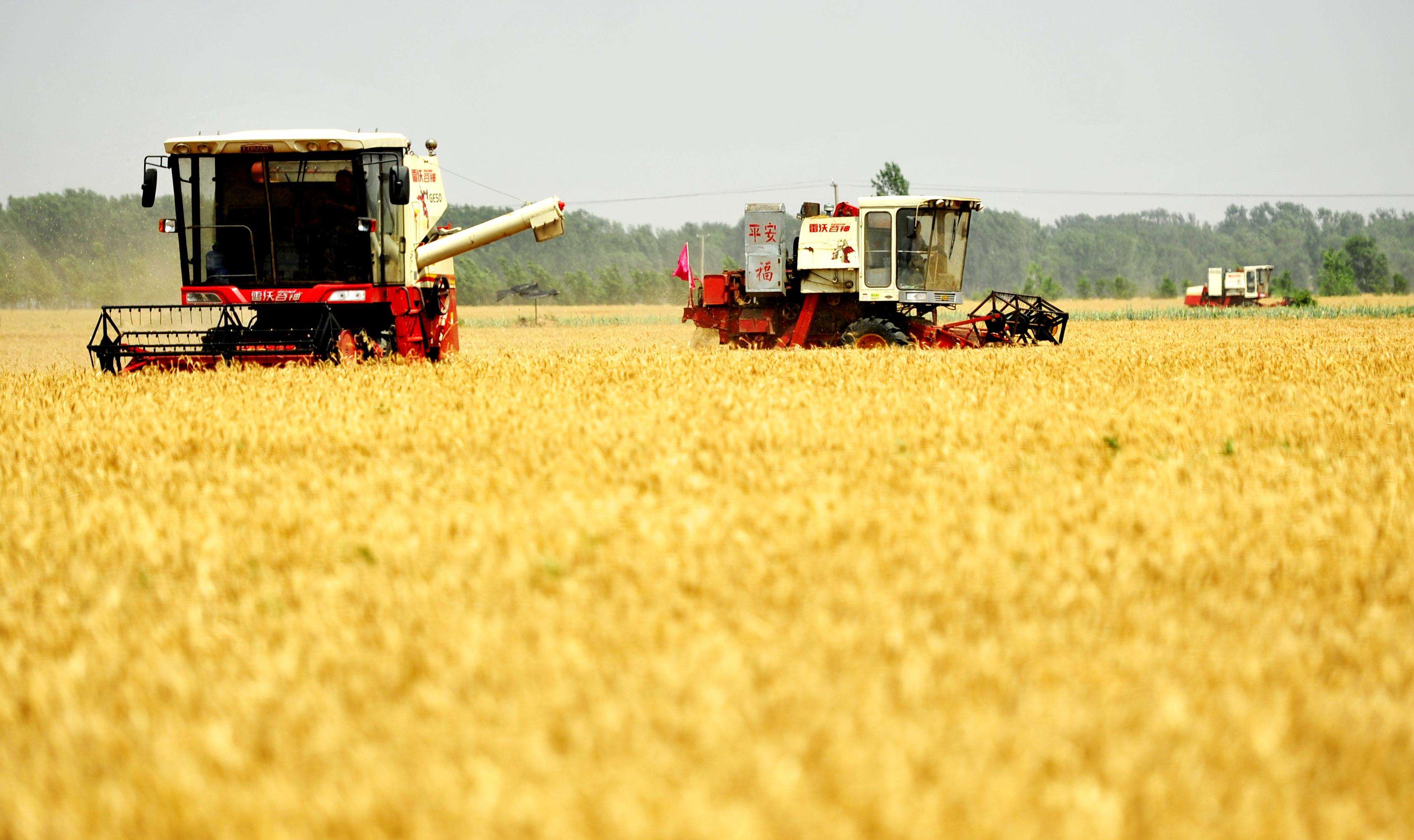 国家统计局:2021年全国粮食总产量13657亿斤,同比增长2%