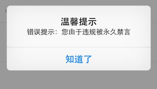 微博禁言、关闭31个发布时政有害信息的头部账号